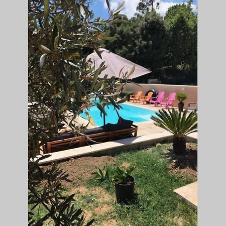 Logement Attenant A Une Villa T2 Avec Terrasse . Besse-sur-Issole Luaran gambar